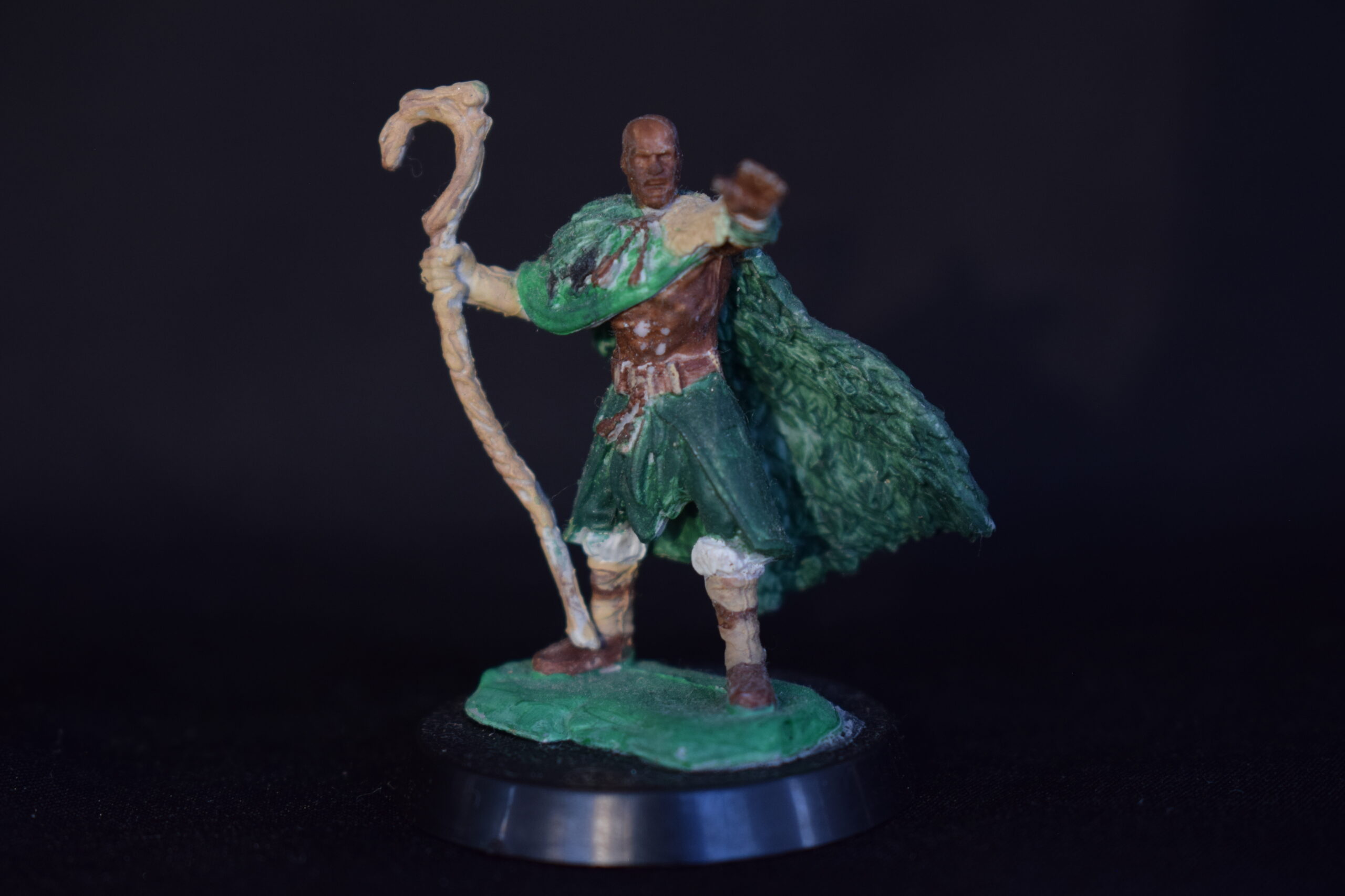 Shepherd Druid