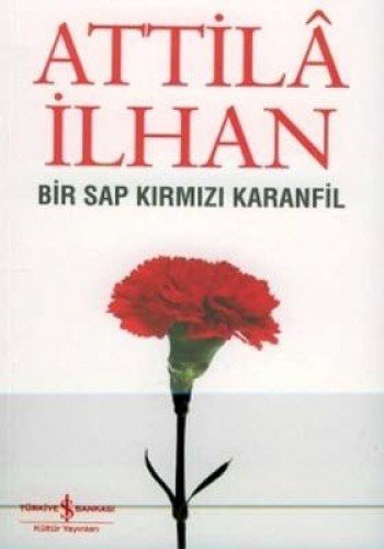Bir Sap Kırmızı Karanfil — temsili kapak görseli
