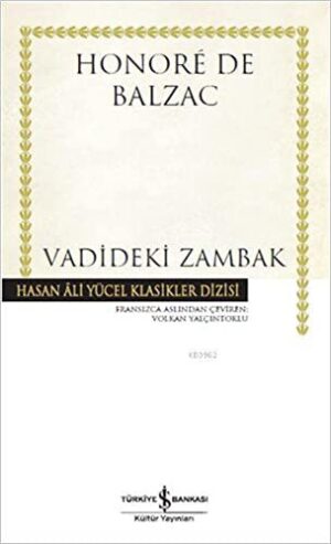 Vadideki Zambak — temsili kapak görseli