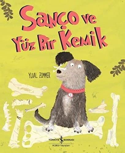 294-12217852 Sanço ve Yüz Bir Kemik — temsili kapak görseli