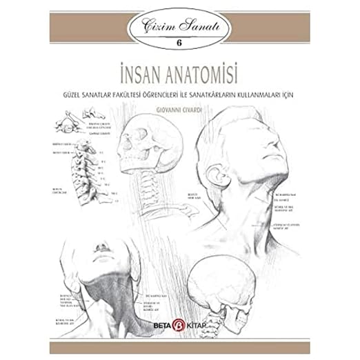 Çizim Sanatı Serisi 6: İnsan Anatomisi