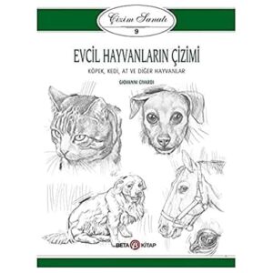 Evcil Hayvanların Çizimi