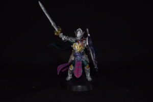 Heavy Armor Paladin