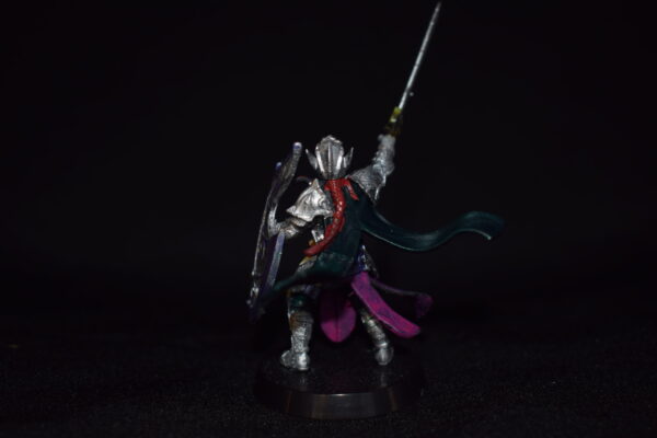 dsc-0100-scaled-ee5f5ce79bdd.jpg Heavy Armor Paladin