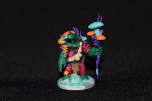Tortle Druid