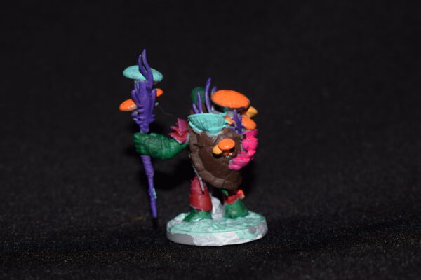 Tortle Druid
