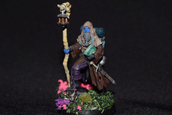 Firbolg Wizard