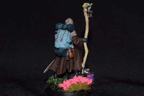 Firbolg Wizard