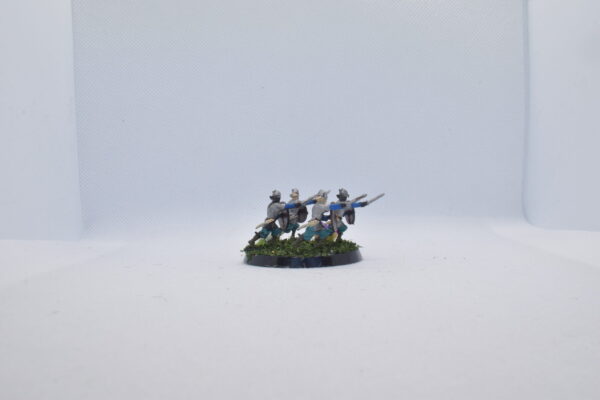 Viking Raiders Set - Thane's Huscarl