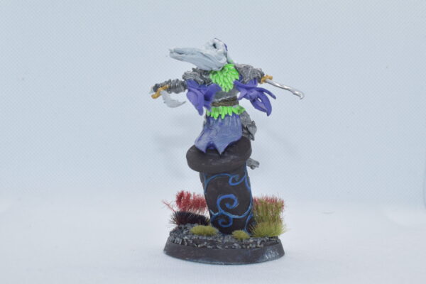 Drow Assassin