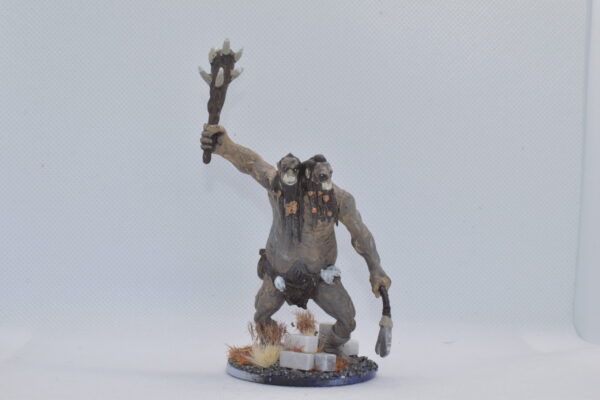 dsc-2456-scaled-d756745ef6f1.jpg Ettin Berserker