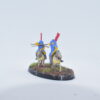Samurai Lancers