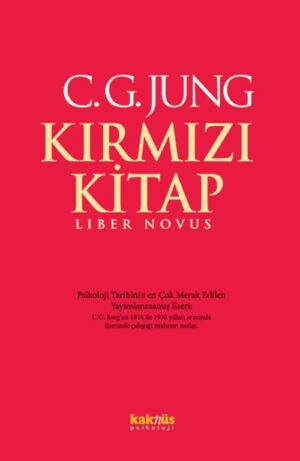 Kırmızı Kitap — temsili kapak görseli