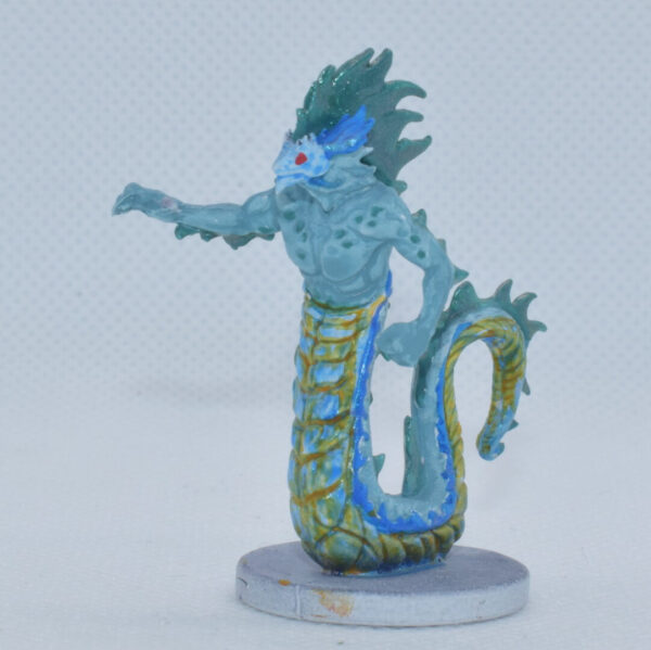Sahuagin / Merfolk