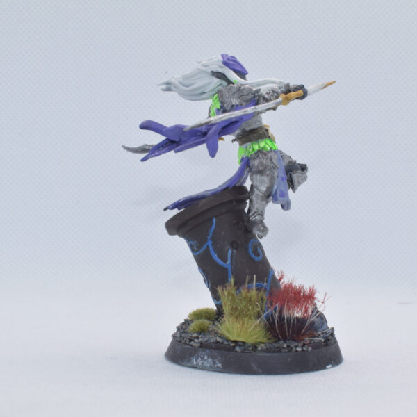 Drow Assassin