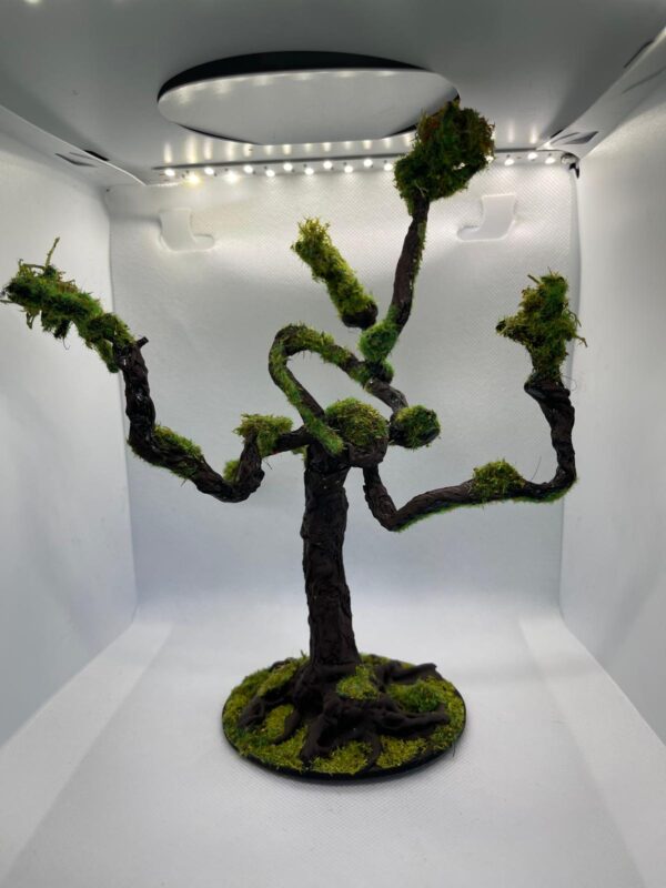 whatsapp-image-2026-06-27-at-133520-8-20260628195214-k09Cmb.jpeg Yggdrassil's Heirs Set - Mossy Ancient